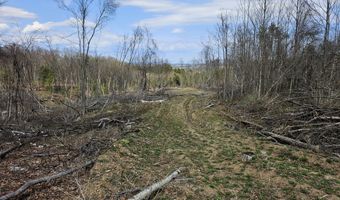 295 Shellstone Rd, Amsterdam, NY 12010