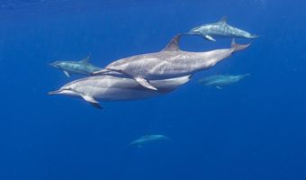 122 Ulua Rd, Kaunakakai, HI 96748