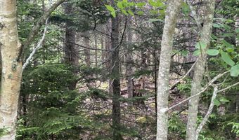 8 9 10 & 14 Kent/Bar Island/Wohoa Bay Rd, Addison, ME 04606