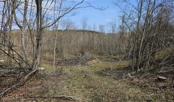 295 Shellstone Rd, Amsterdam, NY 12010