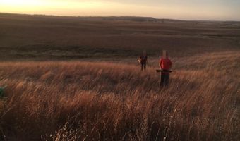 Yellowthroat Haven, Ainsworth, NE 69210