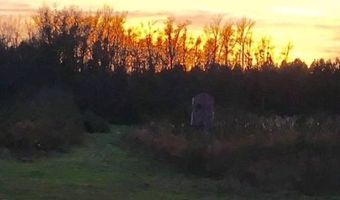 10664 Burton's Ferry Rd, Allendale, SC 29810