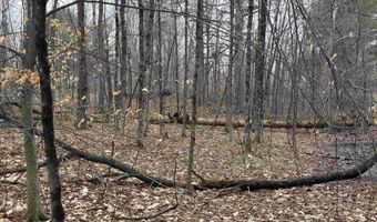 702 Province Rd, Belmont, NH 03220