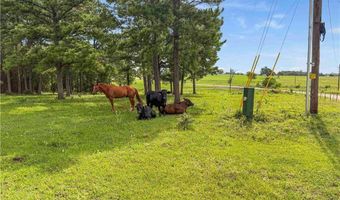 6779 County Road 215, Anderson, TX 77830