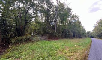 PINEPITCH Road, Harrington, DE 19952