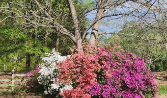 3323 Sadler Rd, Alexis, NC 28006