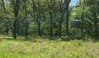 Wolf Hill Rd, Bethpage, TN 37022