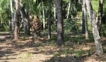 114 Melanie Ln, Apalachicola, FL 32320