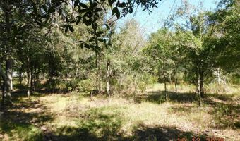 2221 NW PINE VIEW Rd, Arcadia, FL 34266