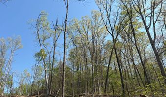 7900 Mineral Koleen Rd, Bloomfield, IN 47424