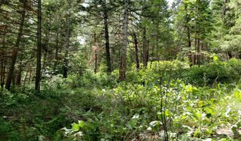 Lot 21 Arlee Pines, Arlee, MT 59821