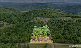 Norris Lane, Atkins, AR 72823