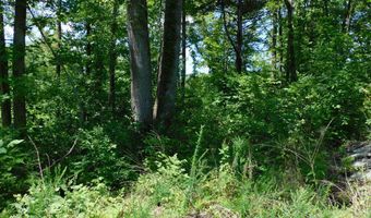98 63 AC Pointer Rd, Alton, VA 24520