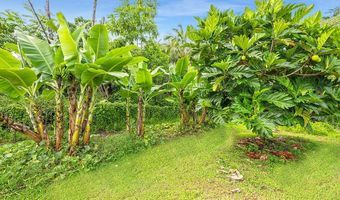 15-1487 15TH Ave, Keaau, HI 96749