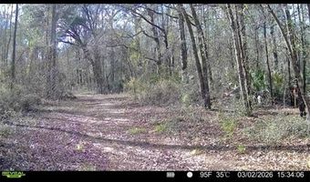 4814 NW 244 Ave, Alachua, FL 32615