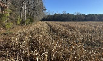 0 Bivalve Lodge Rd, Bivalve, MD 21814