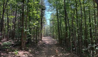 HOLLYWOOD RD, Appomattox, VA 24522
