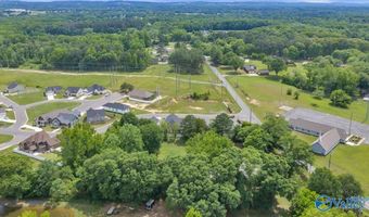 1453 S Broad St, Albertville, AL 35950
