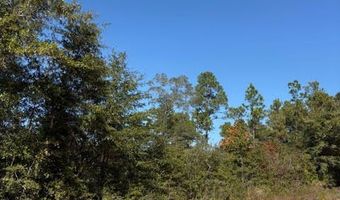 Southern Boulevard lot 27, Alford, FL 32420