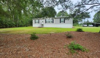 786 Blackberry Rd, Baconton, GA 31716