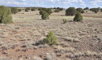 10 N9228, Concho, AZ 85924