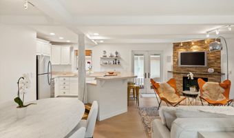 960 E Durant Ave 6, Aspen, CO 81611