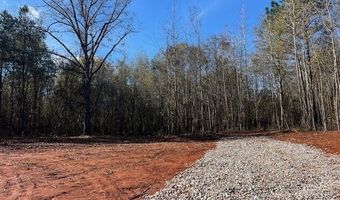 146 Berry Rd Lot 12B, Barnesville, GA 30204