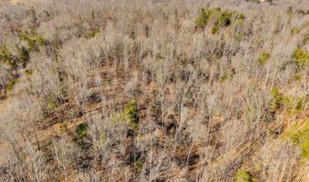 James Reeder Ln, Allons, TN 38541