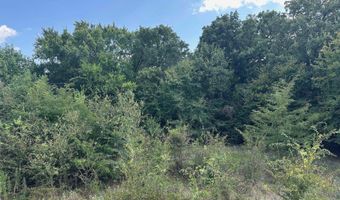 RS PR 6372, Alba, TX 75410