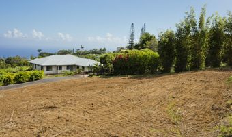 45-2809 LEHUA MAUKA Pl Lot #: 13-G, Honokaa, HI 96727