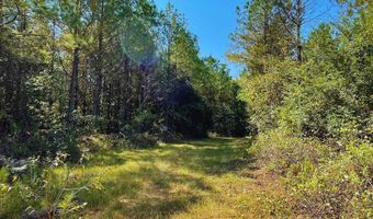 0 CR 320, Big Creek, MS 38914