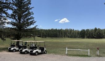 58 County Road N2122, Alpine, AZ 85920