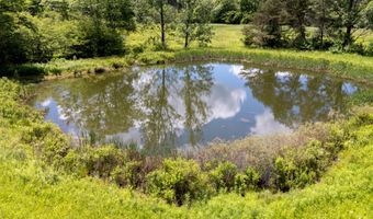1652 Thompson Hollow Rd, Andes, NY 13731