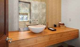 509 W Hopkins Ave, Aspen, CO 81611