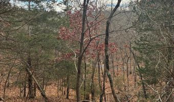 KING Street, Basye, VA 22810