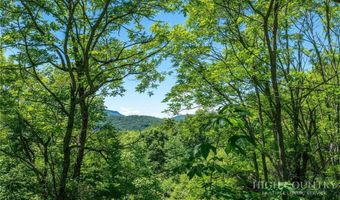 455 Shawnee Rd, Banner Elk, NC 28604