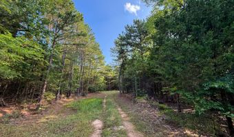 Old Moyers Road, Antlers, OK 74523