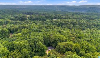 5042 LAPINE Dr, Adamsville, AL 35005