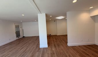601 E Hopkins Ave 202, Aspen, CO 81611