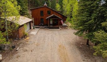 340 County Road 54, Almont, CO 81210