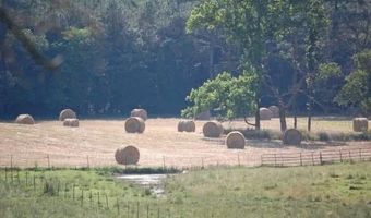 141 Holcomb Spur NW, Adairsville, GA 30103