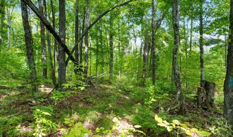 Double Bend Road, Argonne, WI 54511