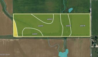 290 CR, Asbury, MO 64832