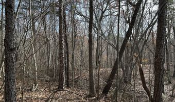 Highway 105, Baldwin, GA 30511