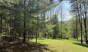 Gold Coast Road, Bridgewater, VT 05034