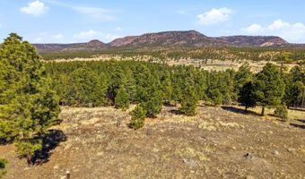 N2147, Alpine, AZ 85920
