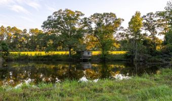 100 Acres Harmony Church Rd, Andalusia, AL 36421