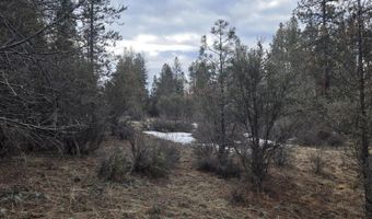 Jaguar Lane Lot 7 & 8, Bonanza, OR 97623