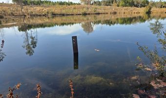 1228 River Rd, Ariton, AL 36311