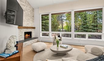 75 Bennett Ct, Aspen, CO 81611